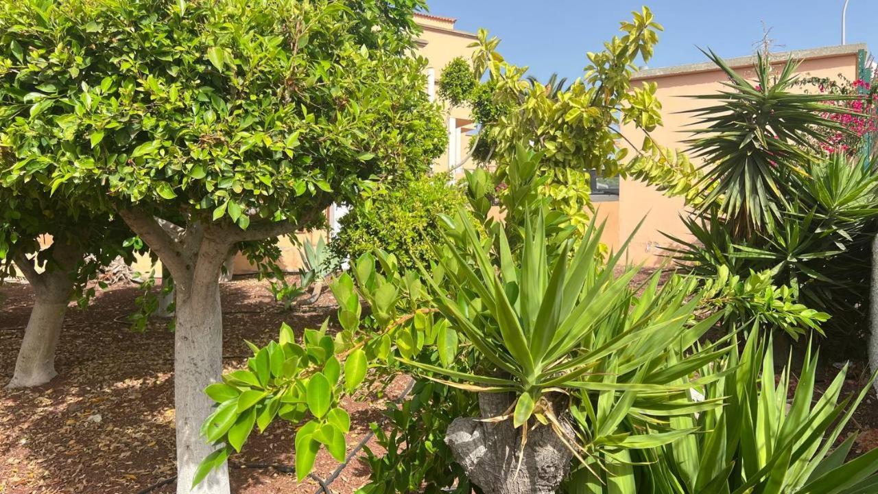Ocean View Apartment In Orlando Costa Adeje  Extérieur photo